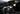 #wood_black-ash